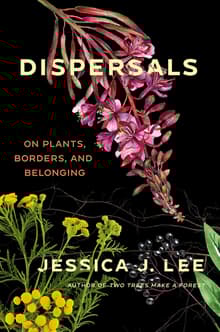 Book cover of Dispersals: On Plants, Borders, and Belonging