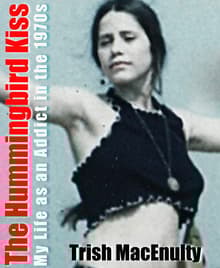 Book cover of The Hummingbird Kiss: My Life as an Addict in the 1970s