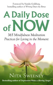 Book cover of A Daily Dose of Now: 365 Mindfulness Meditation Practices for Living in the Moment