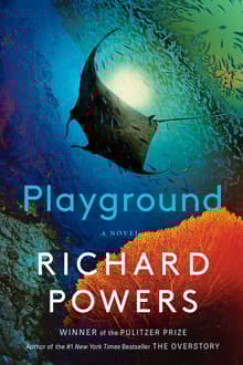 Book cover of Playground