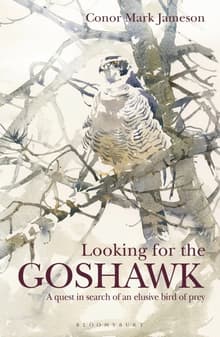 Book cover of Looking for the Goshawk