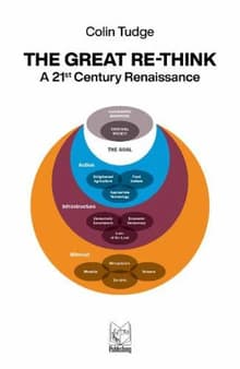 Book cover of The Great Re-Think: A 21st Century Renaissance