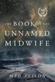 Book cover of The Book of the Unnamed Midwife