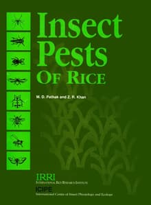 Book cover of The Major Insect Pests of the Rice Plant