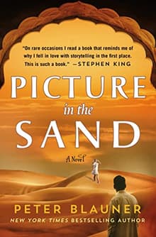 Book cover of Picture in the Sand