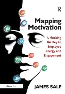 Book cover of Mapping Motivation