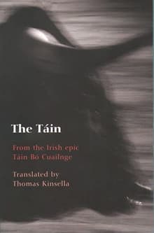 Book cover of The Tain: From the Irish Epic Tain Bo Cuailnge