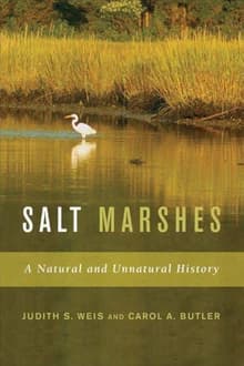 Book cover of Salt Marshes: A Natural and Unnatural History