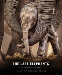 Book cover of The Last Elephants