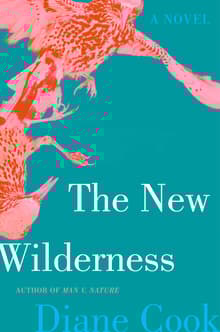 Book cover of The New Wilderness