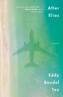 Book cover of After Elias