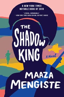 Book cover of The Shadow King