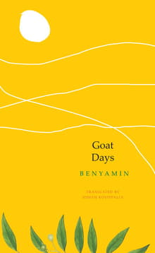 Book cover of Goat Days