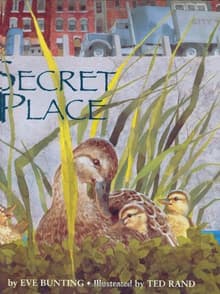 Book cover of Secret Place
