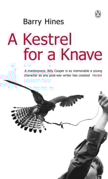 Book cover of A Kestrel for a Knave