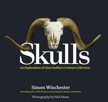 Book cover of Skulls