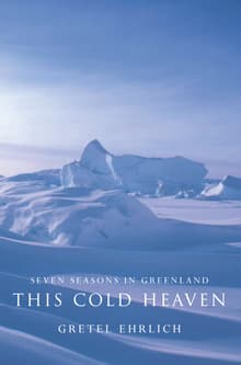 Book cover of This Cold Heaven