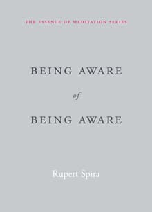 Book cover of Being Aware of Being Aware