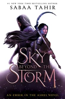 Book cover of A Sky Beyond the Storm