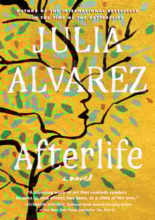 Book cover of Afterlife