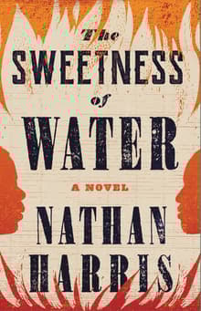 Book cover of The Sweetness of Water