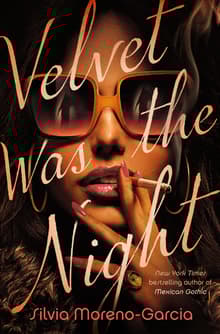 Book cover of Velvet Was the Night