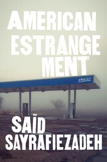 Book cover of American Estrangement: Stories