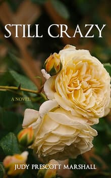 Book cover of Still Crazy