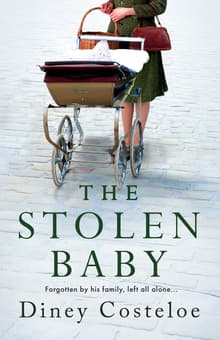 Book cover of The Stolen Baby