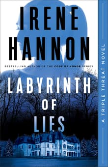 Book cover of Labyrinth of Lies