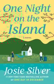 Book cover of One Night on the Island