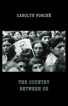 Book cover of The Country between Us