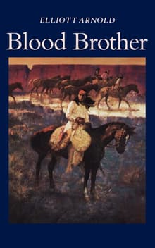 Book cover of Blood Brother