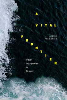 Book cover of A Vital Frontier: Water Insurgencies in Europe