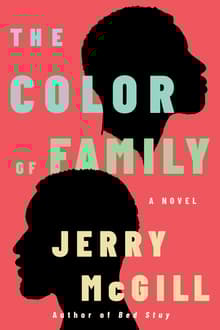 Book cover of The Color of Family