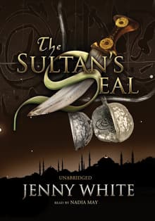 Book cover of The Sultan's Seal