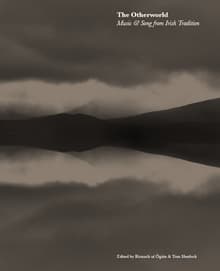 Book cover of The Otherworld