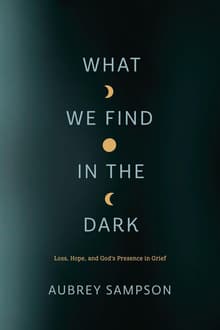 Book cover of What We Find in the Dark
