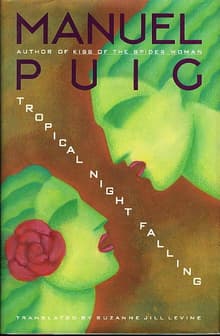 Book cover of Tropical Night Falling