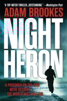 Book cover of Night Heron