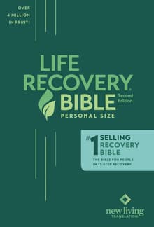 Book cover of Life Recovery Bible