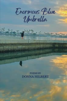 Book cover of Enormous Blue Umbrella
