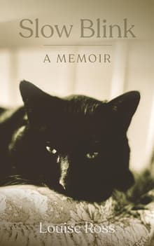 Book cover of Slow Blink