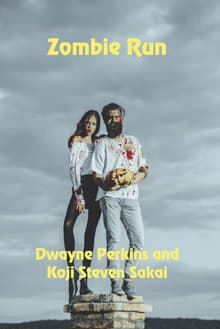 Book cover of Zombie Run