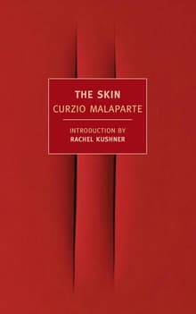 Book cover of The Skin