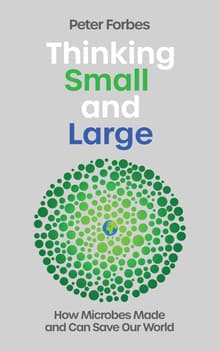 Book cover of Thinking Small and Large