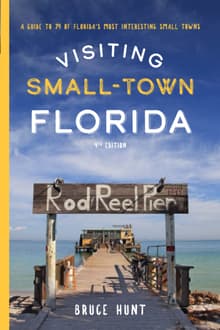 Book cover of Visiting Small-Town Florida