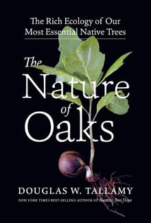 Book cover of The Nature of Oaks: The Rich Ecology of Our Most Essential Native Trees