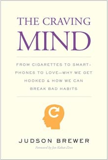 Book cover of The Craving Mind: From Cigarettes to Smartphones to Love - Why We Get Hooked and How We Can Break Bad Habits