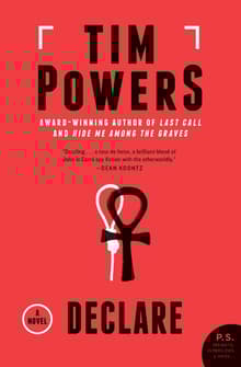 Book cover of Declare: A Novel